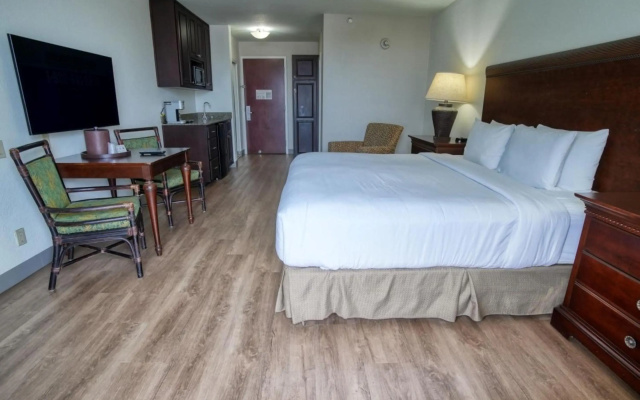 photo 3 of Treasure Island Hotel and Marina