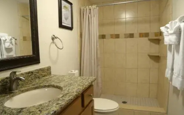 photo 4 of Treasure Island Waterfront Condo