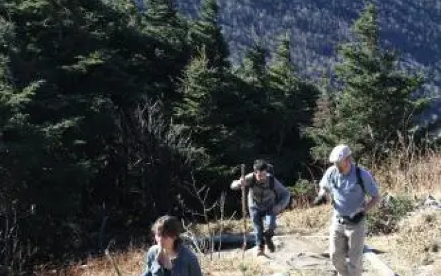 photo 5 of Albert's Lodge at Mt. Mitchell