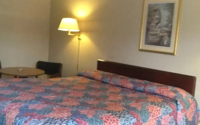photo 4 of Tree Top Inn Florence
