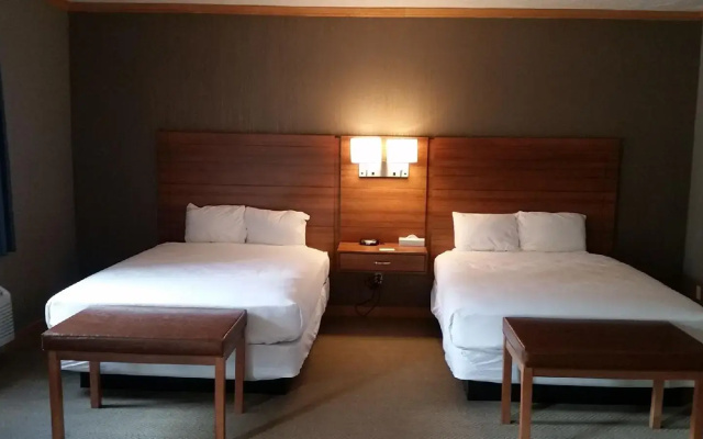 photo 3 of Treetops Resort