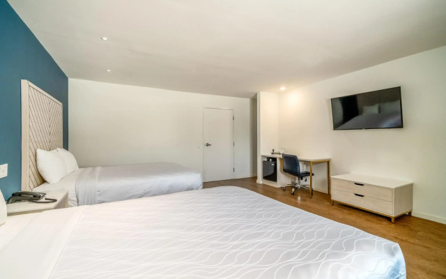 photo 3 of Trend Hotel at LAX Airport