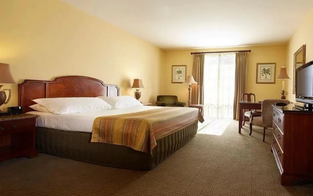 photo 3 of The Capri Inn
