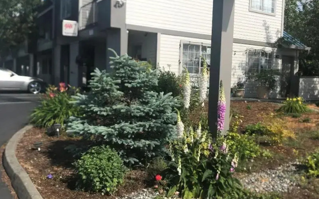 photo 5 of Tulip Inn