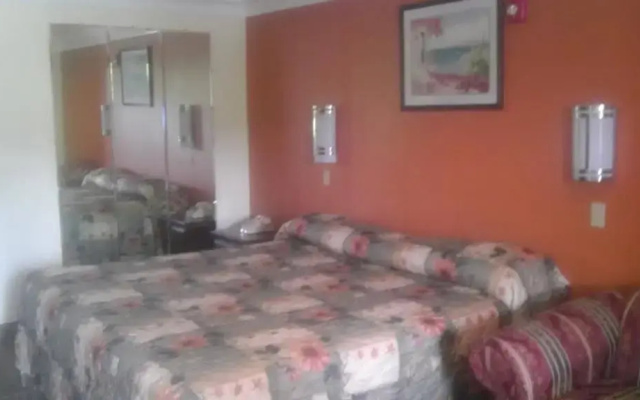 photo 2 of Tweetys 9 Diamond Inn