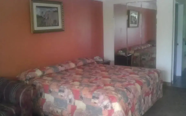 photo 3 of Tweetys 9 Diamond Inn