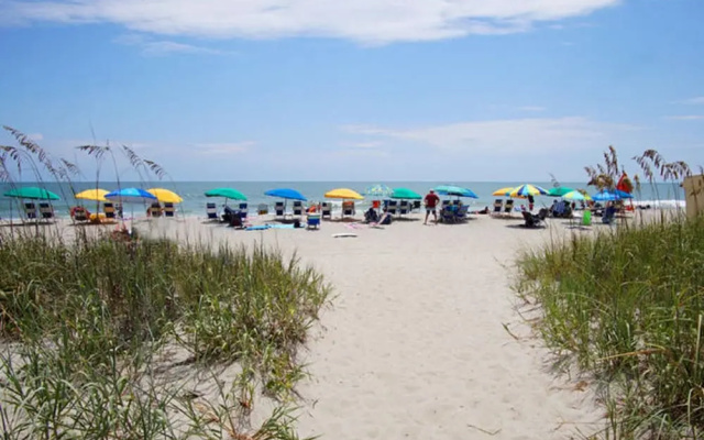 photo 5 of Units at Patricia Grand Resort by Elliott Beach Rentals