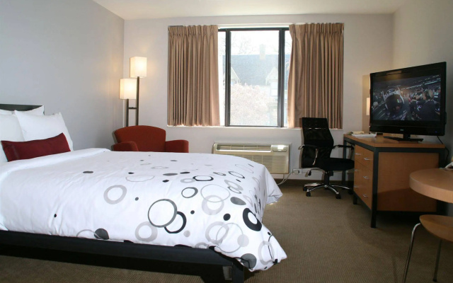 photo 2 of University Inn