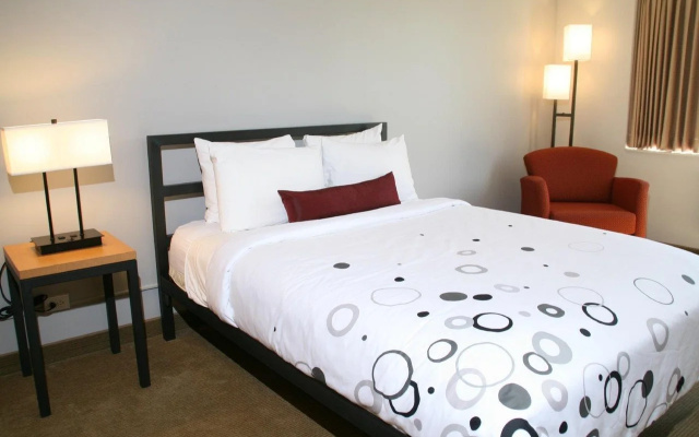 photo 3 of University Inn