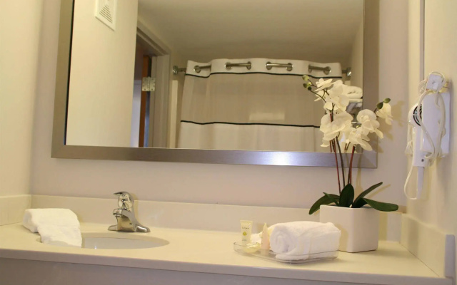 photo 5 of University Inn