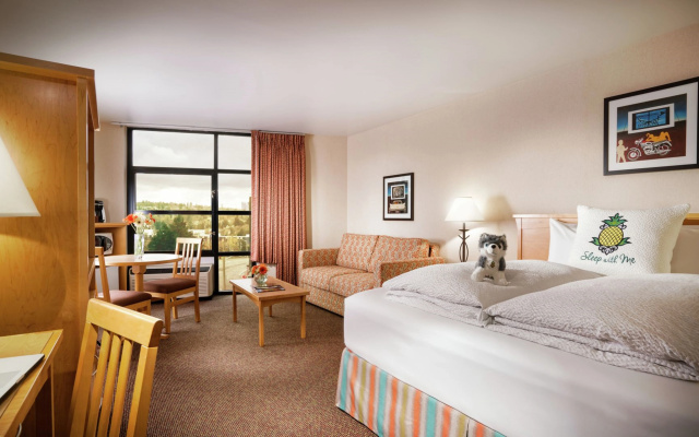 photo 3 of Staypineapple, University Inn, University District Seattle