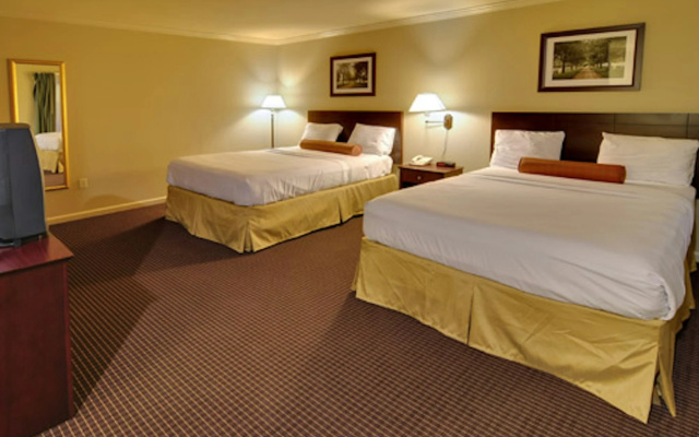 photo 4 of University Park Inn & Suites, an Ascend Collection Hotel