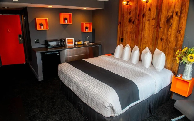 photo 4 of Uptown Hotel St Pete