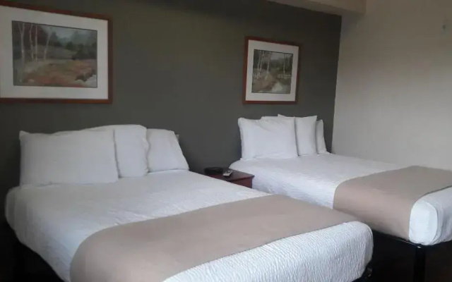 photo 5 of Best Studio Inn