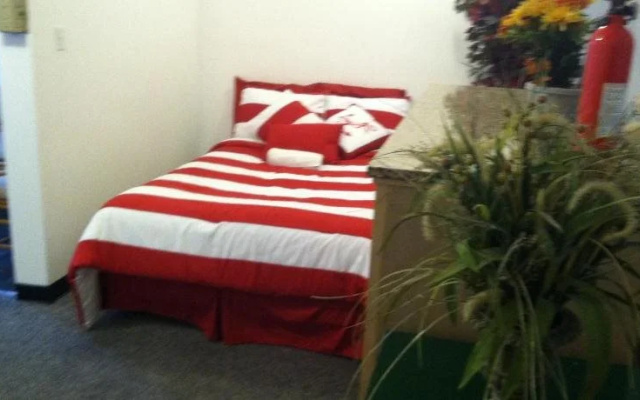 photo 5 of Venice Beach Hostel