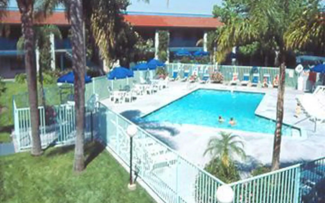 photo 3 of Vivere