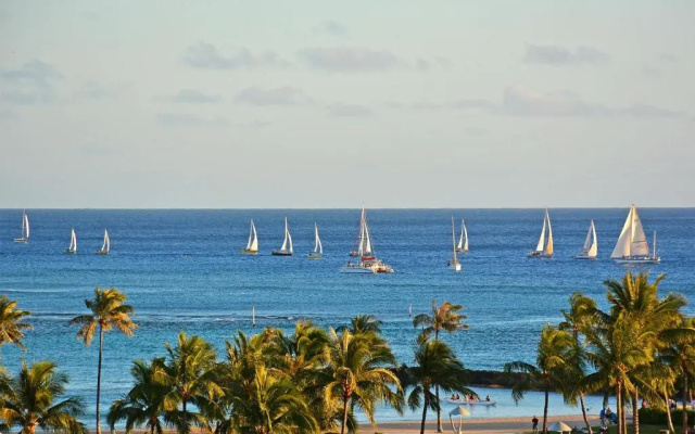 photo 2 of Waikiki Banyan #3205-T2