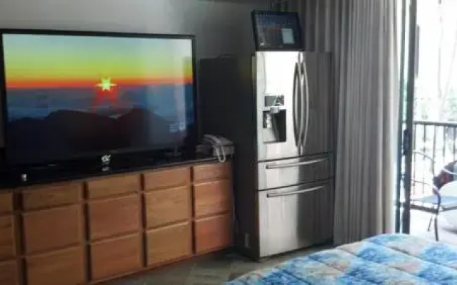 photo 3 of Waikiki Beach Apartment #225