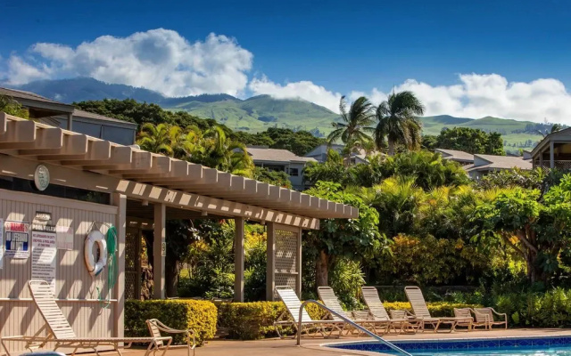 photo 3 of Wailea Ekolu #406