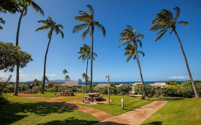 photo 4 of Wailea Ekolu #406