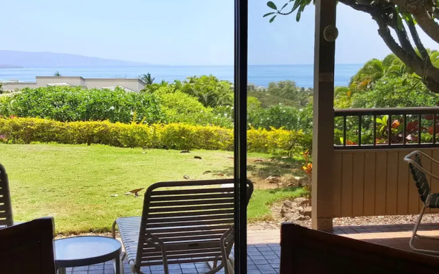 photo 4 of Wailea Ekolu #501