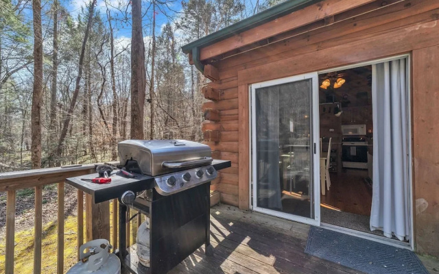 photo 4 of Waterfront-log Cabin On The Broad River In Lake Lure 2 Bedroom Cabin by Sunscape Property Management