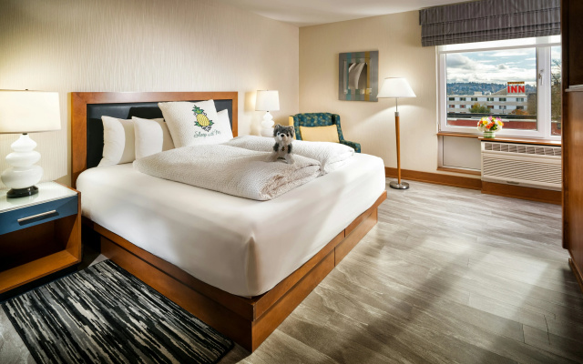 photo 5 of Staypineapple, Watertown Hotel, University District Seattle