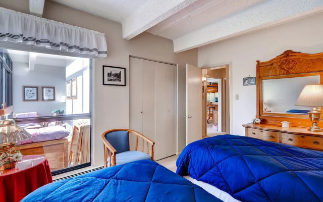 photo 4 of Wheeler at East Village by Copper Mountain Lodging
