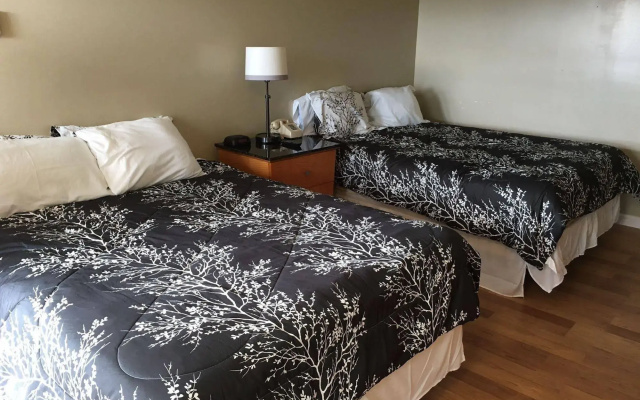 photo 5 of White Birches Motel