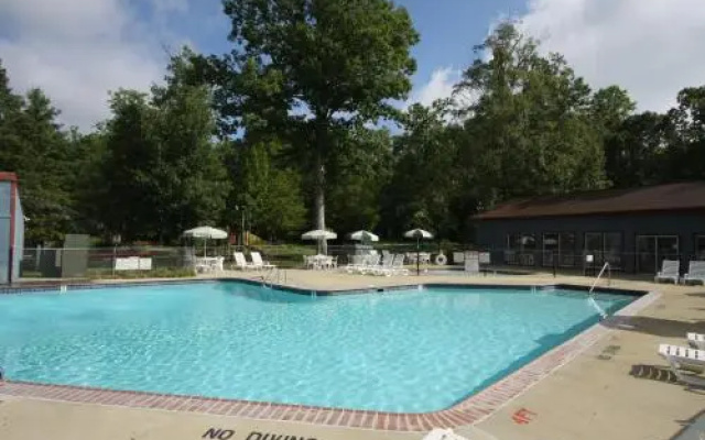 photo 2 of Williamsburg Camping Resort 38 ft. Park Model 2