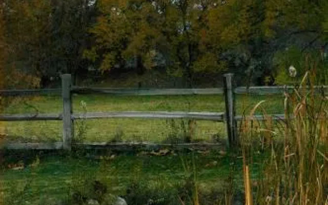 photo 5 of Willow Pond Bed and Breakfast