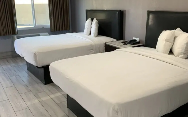 photo 5 of Willow Tree Inn  Suites