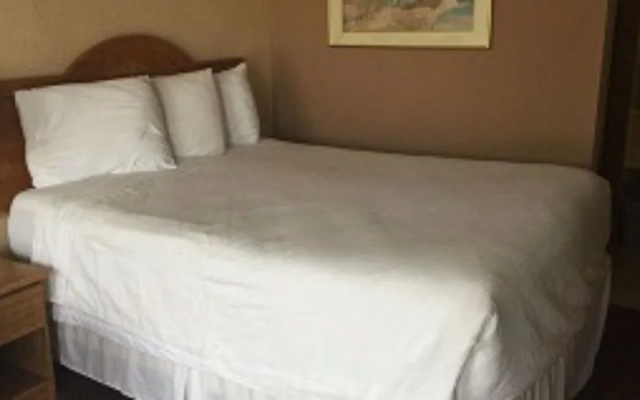 photo 3 of Willow Tree Inn