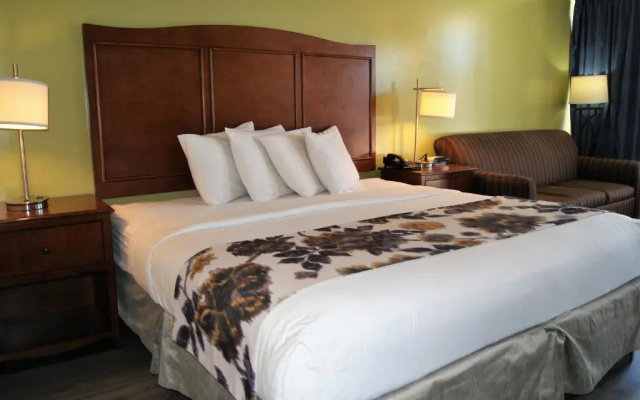 photo 5 of Willow Tree Inn