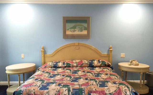 photo 3 of Willow Tree Lodge