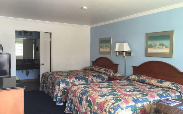 photo 4 of Willow Tree Lodge