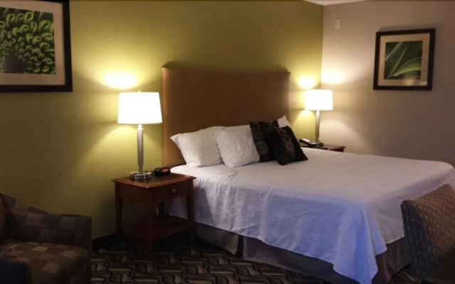 photo 5 of Wingfield Inn