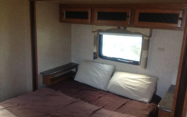 photo 3 of Winter Quarters Encore Manatee RV Resort