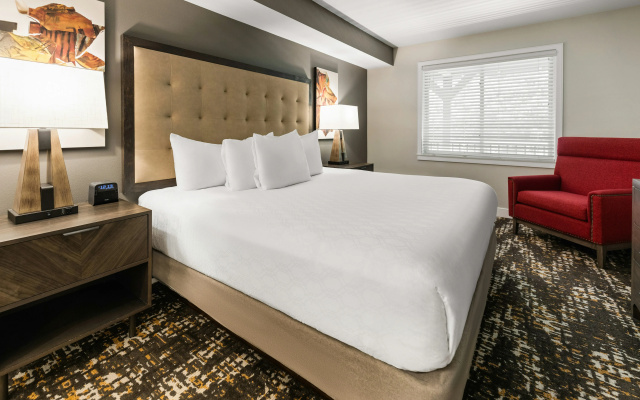 photo 5 of WorldMark Arrow Point
