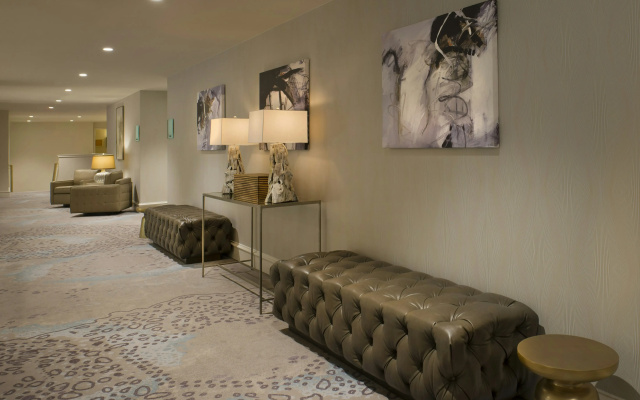 photo 3 of DoubleTree by Hilton Hotel Dallas – Love Field