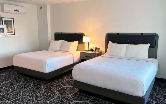 photo 5 of Hyatt Place Chicago/O'Hare Airport