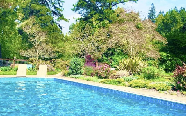 photo 5 of Zegarra Estate