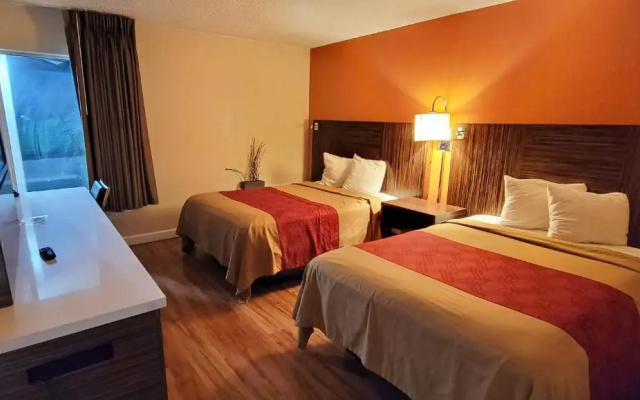 Standard Double Suite