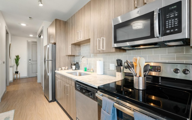 photo 5 of Arlington Beautiful Studio Apartment