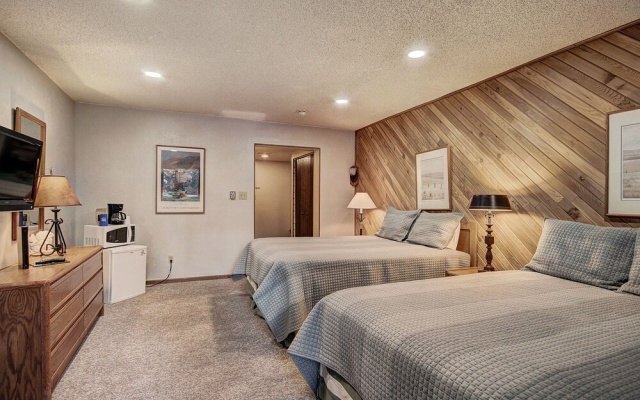 photo 2 of Huge Ski-In Ski-Out Condo - CM116 by RedAwning
