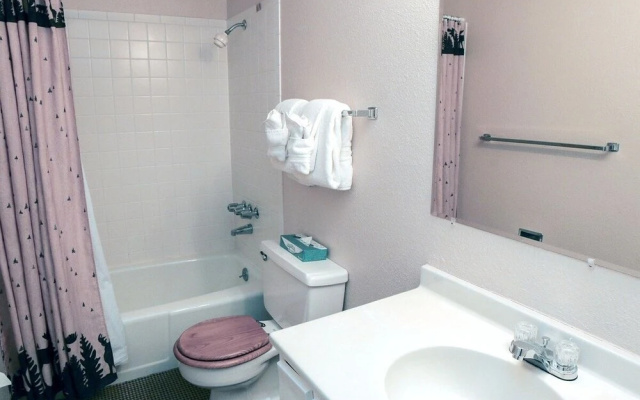 photo 5 of Fawn Valley Inn: 290 1 Bedroom Condo