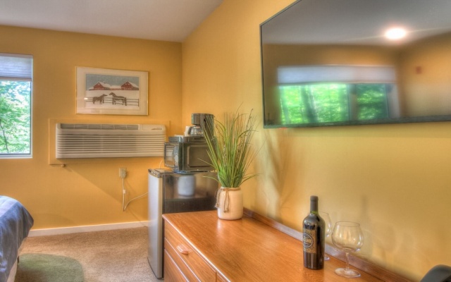 photo 3 of Kcis 323 - Killington Studio: Location! Location!