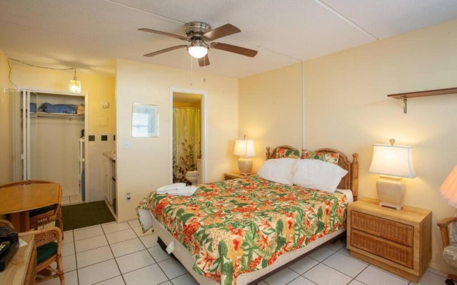 photo 3 of Venice Villas Studio 49